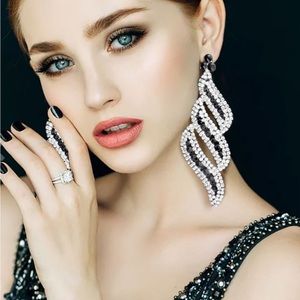 Long Black and Clear Trim Crystal Earrings